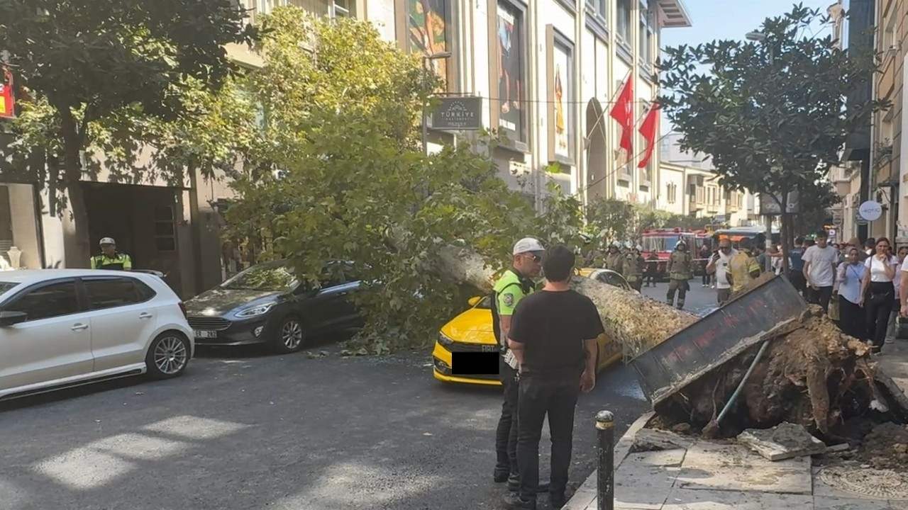 Nişantaşı'nda ağaç devrildi; yol trafiğe kapandı