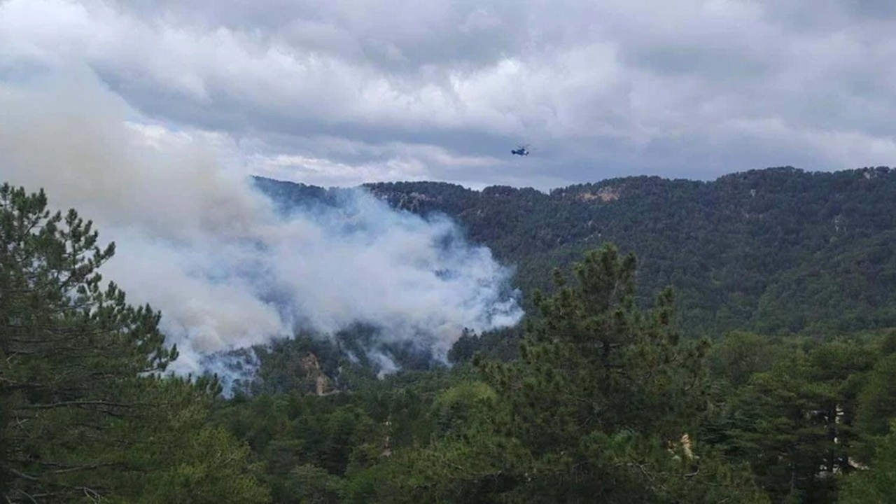 Antalya'daki orman yangını, 22 saatte kontrol altına alındı