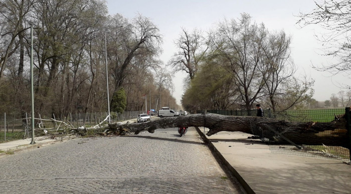 Edirne ve Kırklareli için 'fırtına' uyarısı