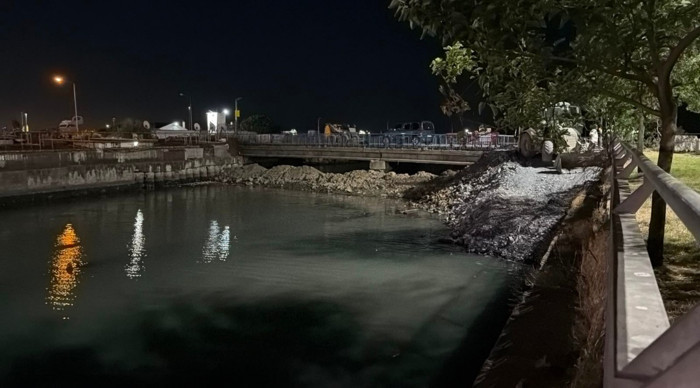 Bakırköy Çırpıcı Deresi’nde toplu balık ölümü