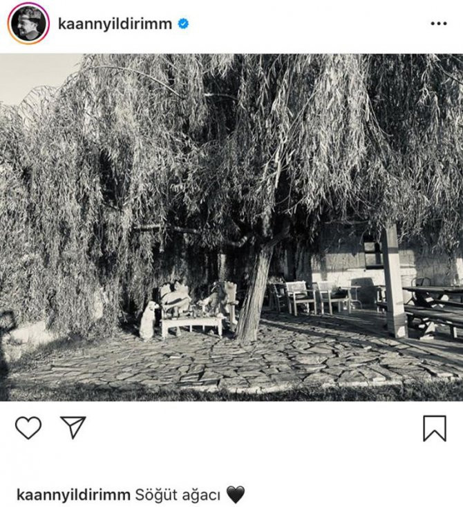 Kaan Yıldırım'dan 'söğüt ağacı' atağı!