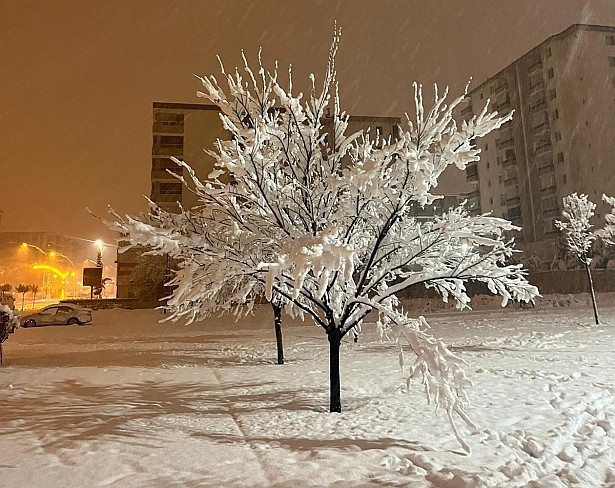 Kar Malatya'yı esir aldı, sınavlar ertelendi!