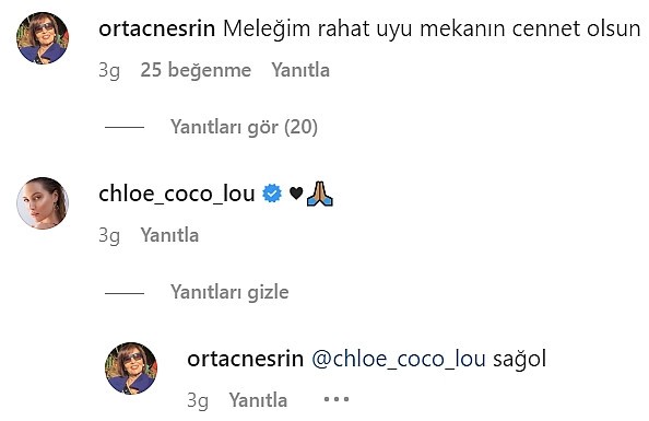 Chloe Loughnan'dan evlat acısı yaşayan Nesrin Ortaç'a destek