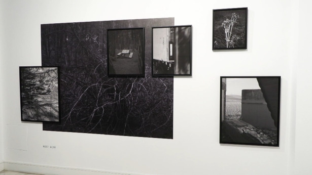 ‘Kesişmeler’ sergisi Vision Art Platform’da açıldı