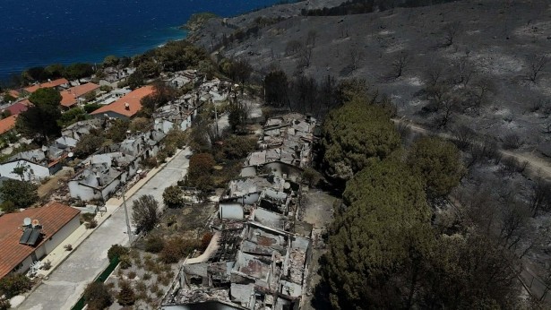 İzmir Seferihisar'da yeşil alanlar, yangın sonrası gri renge büründü