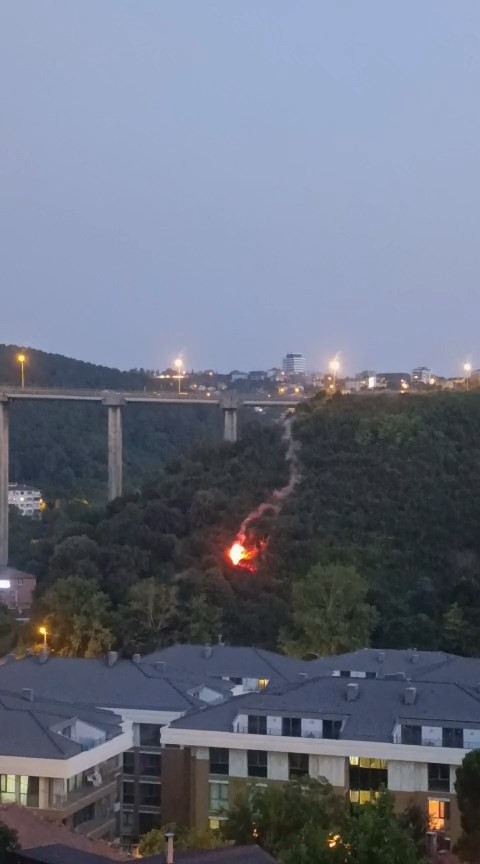 Beykoz'daki orman yangınına ilişkin 1 şüpheli gözaltına alındı