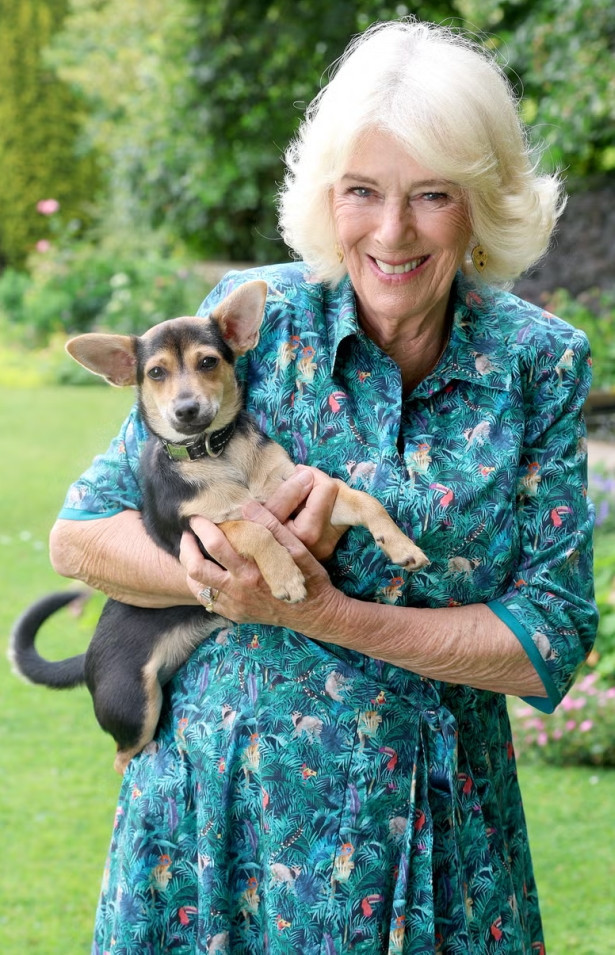 Kral Charles ve Kraliçe Camilla evleri ayırdı - Resim : 2