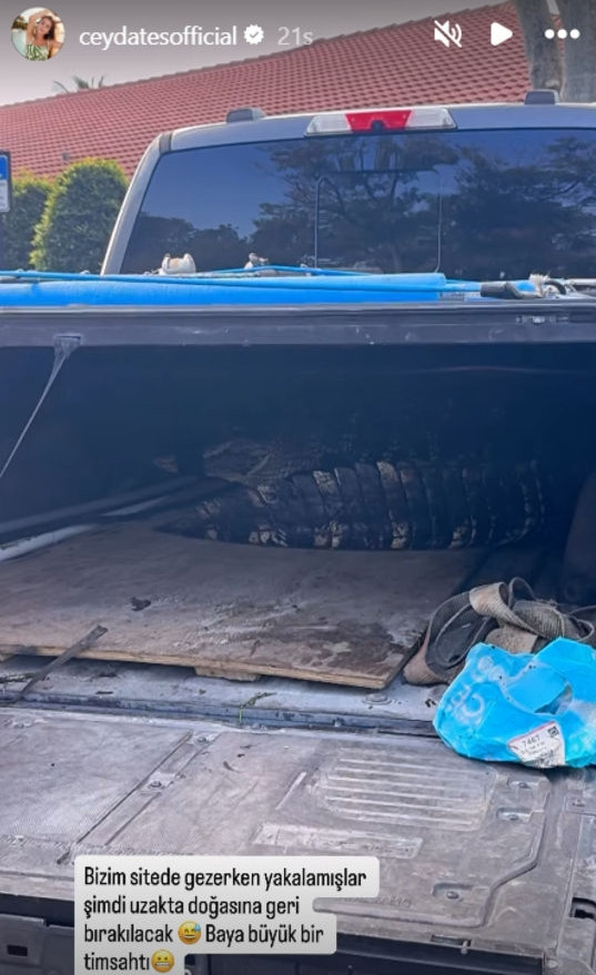 Ceyda Ateş'ten dehşete düşüren paylaşım