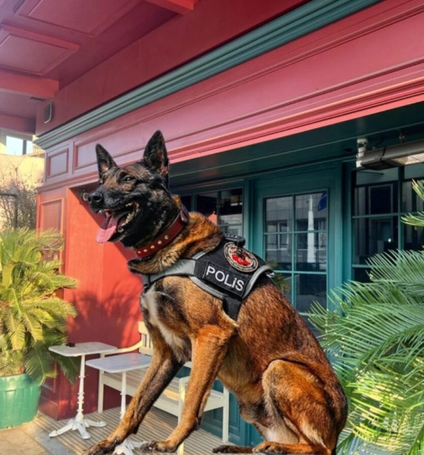 &Uuml;nl&uuml;lerin uğrak mekanı 'K&uuml;t&uuml;phane'nin sahibi de g&ouml;zaltında