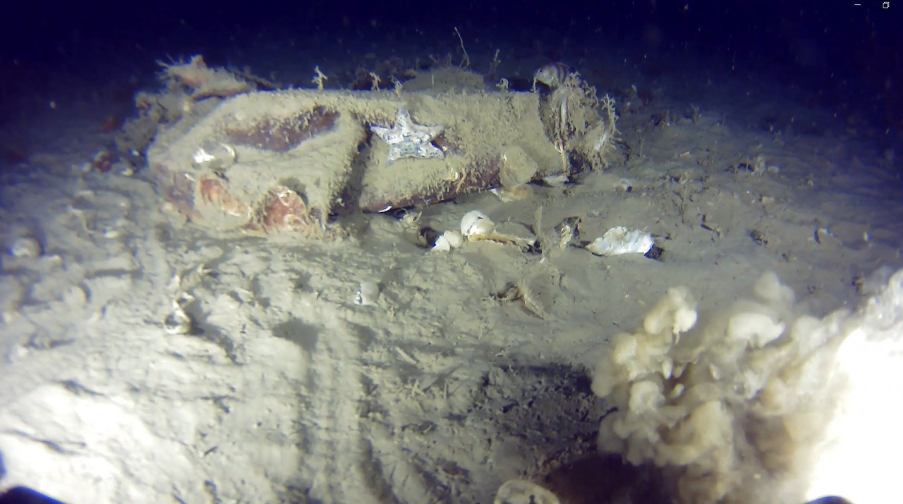 THY'nin 51 yıl &ouml;nce d&uuml;şen u&ccedil;ağının enkazından yeni par&ccedil;alar bulundu