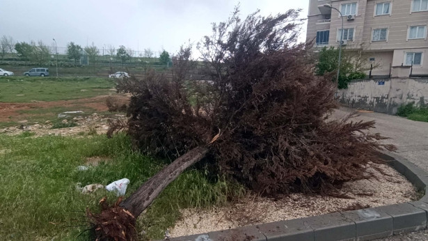 Gaziantep&rsquo;te fırtınanın hasarı g&uuml;n ağarınca ortaya &ccedil;ıktı